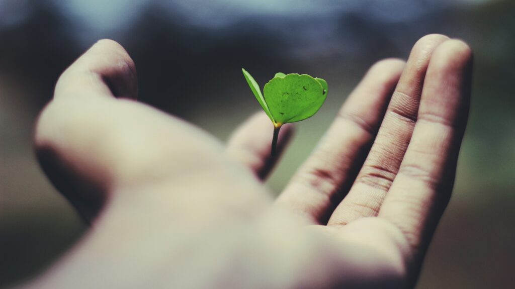 hand outstretched with plant growing